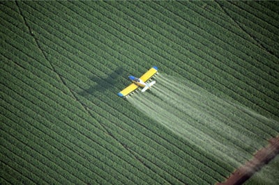 agriculture photo 2